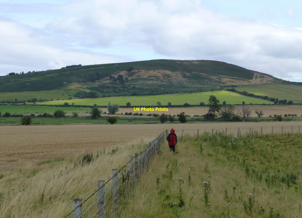 Photo 6"x4" On the bund Doddington\/NT9932 c2015