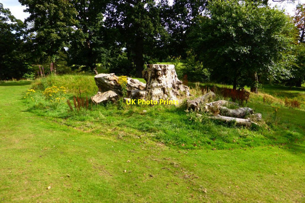 Photo 6"x4" Falkirk, Callendar Park Falkirk c2015