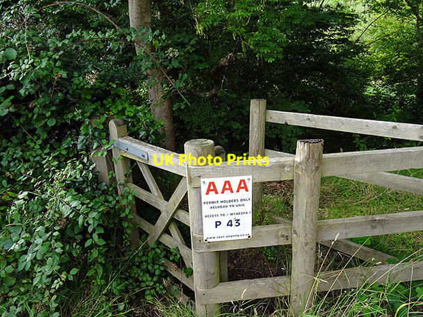 Photo 6"x4" Permit Holders Only! Aberffrwd\/SN6878 c2015