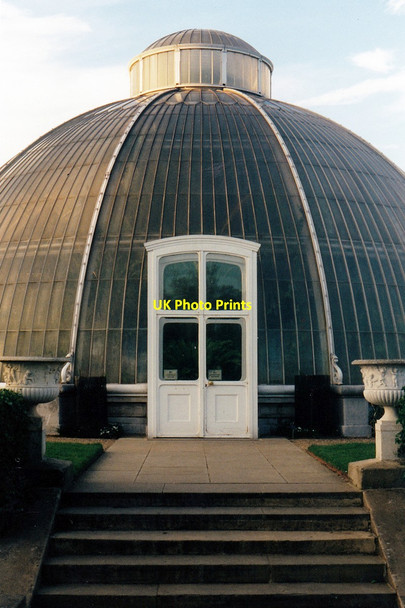 Photo 6"x4" Palm house, Kew Gardens Brentford c1995