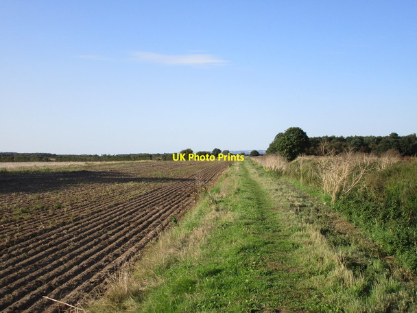 Photo 6"x4" Walking the Market Weighton Canal Rascal Moor c2015