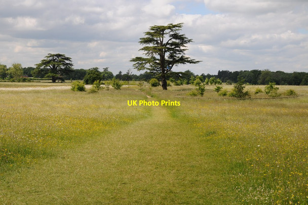 Photo 6"x4" Croome Park Dunstall Common c2015