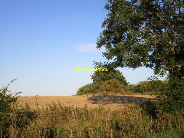 Photo 6"x4" Trees surrounding a flooded pit Rascal Moor c2015