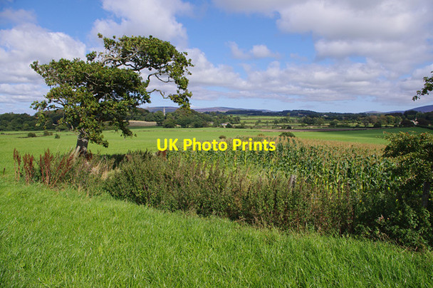 Photo 6"x4" Field corner, Berries Head Cockerham\/SD4652 c2015