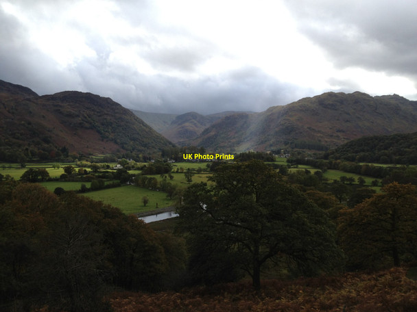 Photo 6"x4" Trees above the River Derwent Rosthwaite\/NY2514 c2012