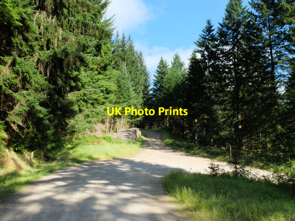 Photo 6"x4" Track Junction, Inver Wood Inver\/NO0142 c2015