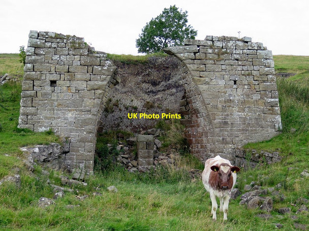Photo 6"x4" Disused lime kiln near Alloa Lea Blenkinsopp Hall c2015