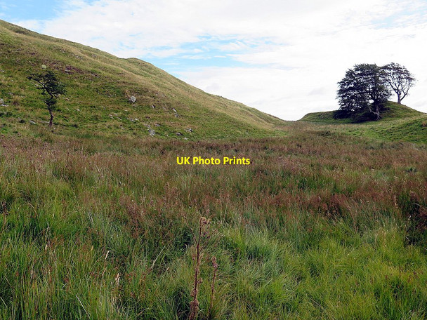 Photo 6"x4" Marshy ground near King Arthur's Well Blenkinsopp Hall c2015