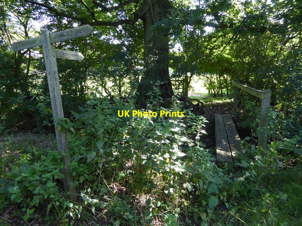 Photo 6"x4" Footpath leaves bridleway near Hooklands Lane Dial Post c2015