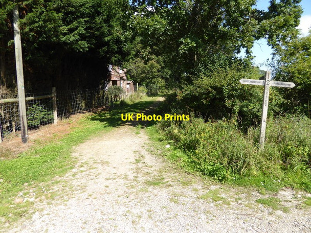 Photo 6"x4" Footpath junction and signpost on the Knepp Estate Dial Post c2015