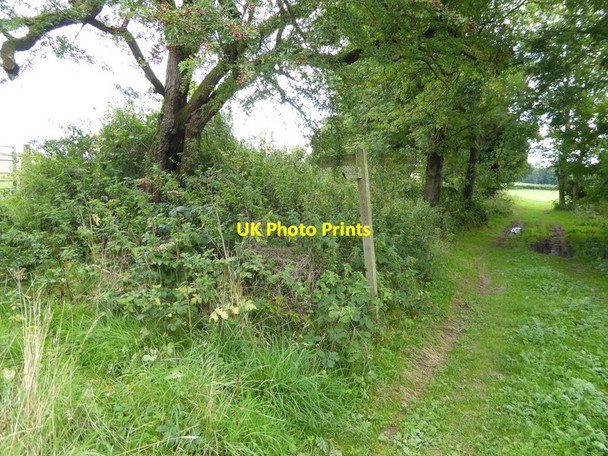 Photo 6"x4" Looking southwards past footpath signpost west of Wincave Farm Ashington\/TQ1316 c2015