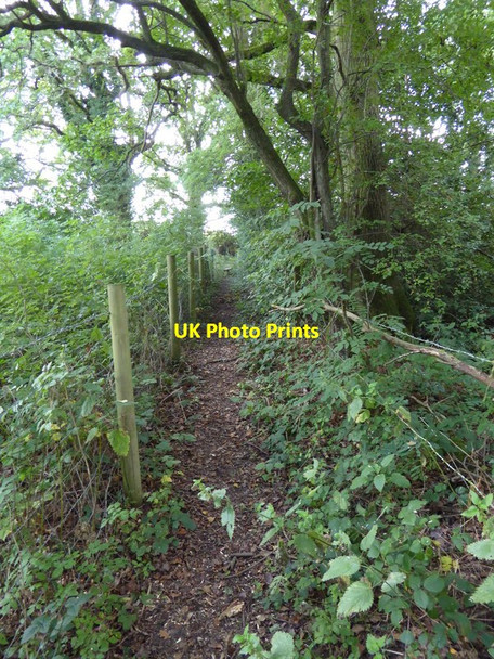 Photo 6"x4" Path by The Plantation to Hooklands Lane Ashington\/TQ1316 c2015