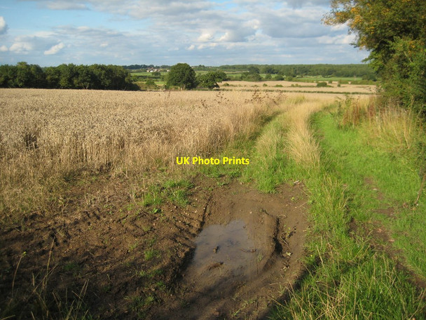 Photo 6"x4" Farmland at Pirton High Green\/SO8745 c2015