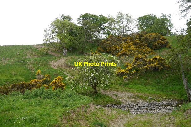 Photo 6"x4" Burn crossing, Middlestead Carterhaugh c2015