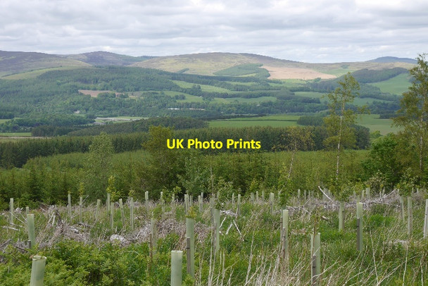 Photo 6"x4" Tuley tubes, Hartwoodmyres Carterhaugh c2015