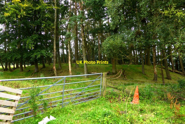 Photo 6"x4" Balfron, Motte Balfron c2015