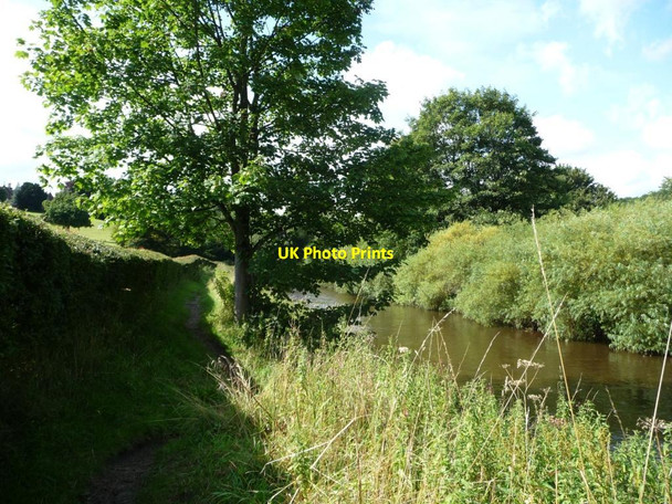 Photo 6"x4" Public footpath on the south bank of the River Aire Shipley\/SE1437 c2015