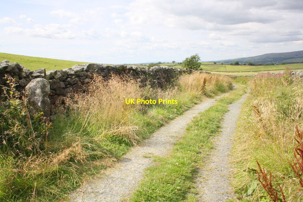 Photo 6"x4" Looking NW along Craven Ridge Lane Lawkland Green c2015