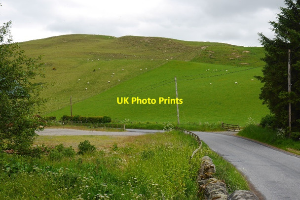 Photo 6"x4" Howden Hill Selkirk c2015