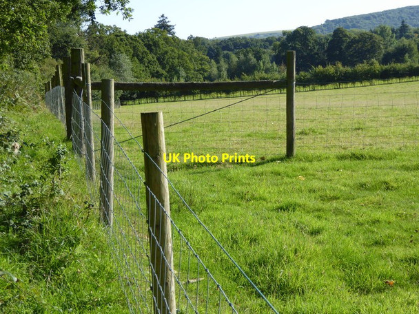 Photo 6"x4" Looking across fields to the downs Hole Street c2015