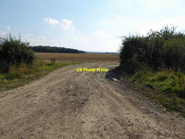 Photo 6"x4" Farm track Coates\/SK9183 c2015