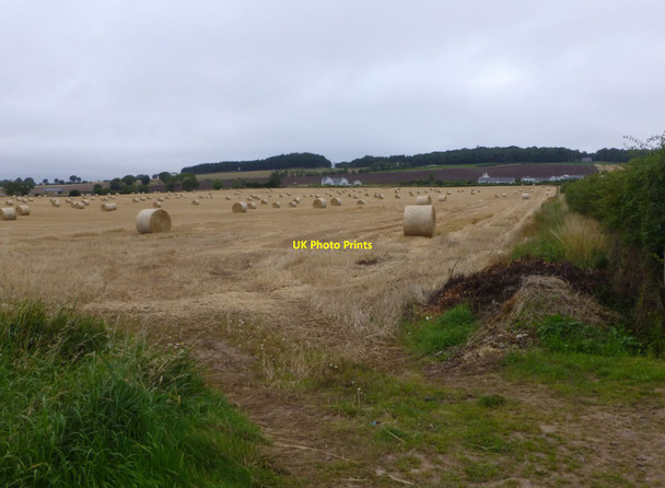 Photo 6"x4" Stubble and straw bales Barry\/NO5334 c2015