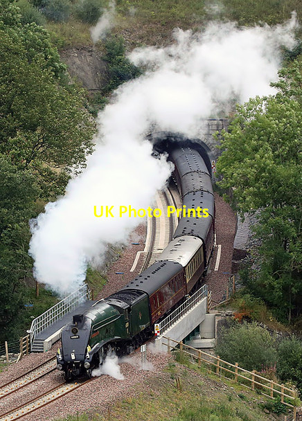 Photo 6"x4" The Union of South Africa steam special on the Borders Railway Bowshank c2015