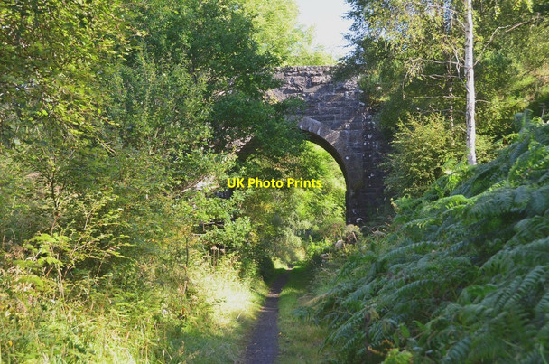 Photo 6"x4" Bridge over former railway Edradynate c2015