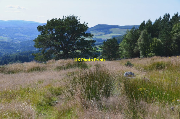 Photo 6"x4" Open moorland Strathtay c2015