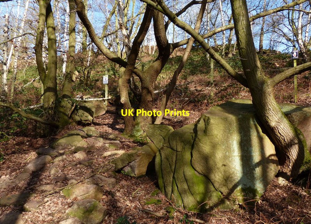 Photo 6"x4" Granite boulders in Buddon Wood Rothley Plain c2014