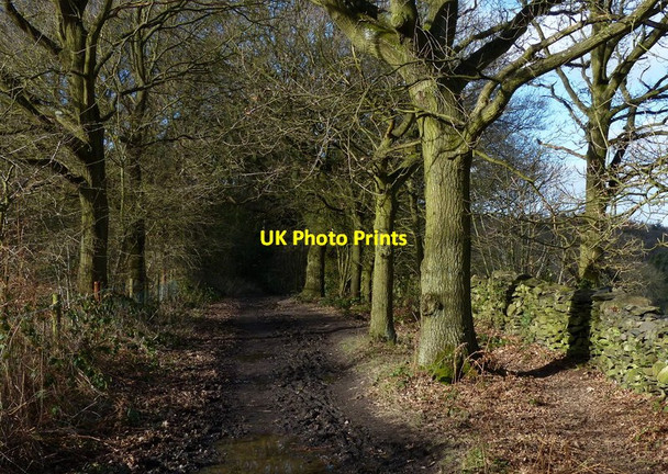 Photo 6"x4" Muddy track near Pocket Gate Farm Woodhouse Eaves c2014