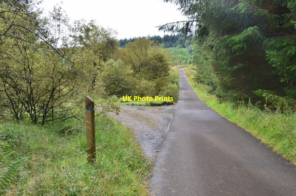 Photo 6"x4" Track junction, aqueduct access road Dalmary c2015