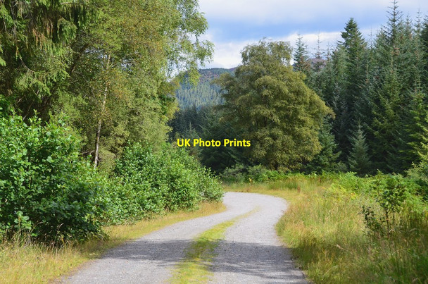Photo 6"x4" Track to Aberfoyle Kirkton\/NN5100 c2015