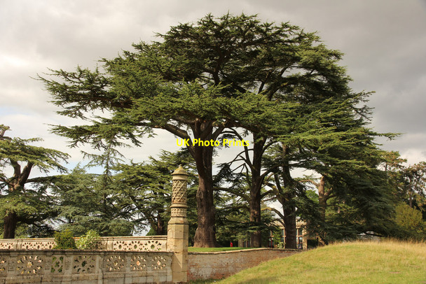 Photo 6"x4" Charlecote Park Charlecote c2015