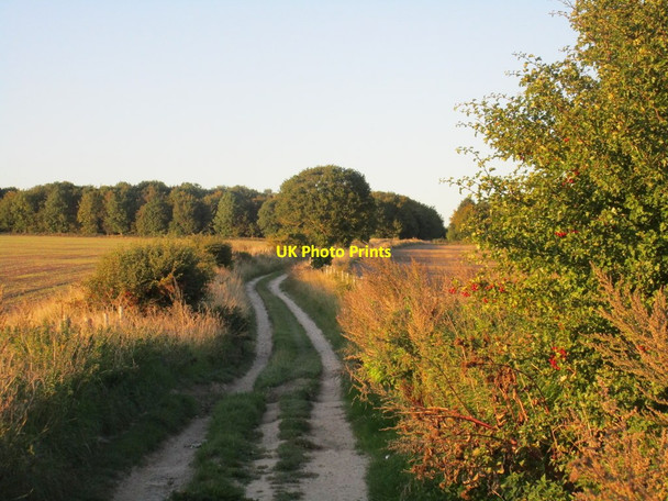 Photo 6"x4" Track to East Ilsley Down and the Ridgeway East Ilsley c2015