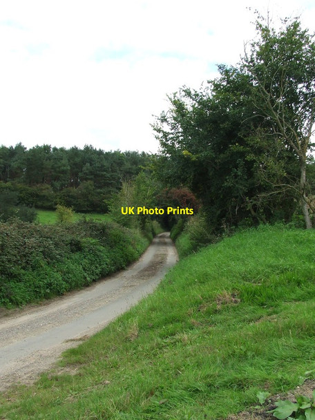 Photo 6"x4" Mill Lane Halstead\/TL8130 c2015
