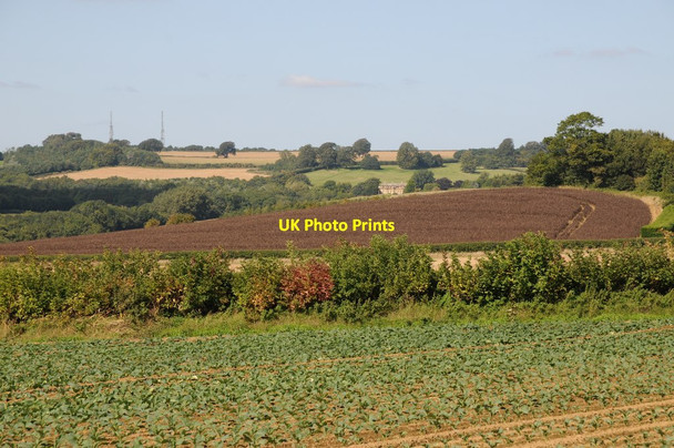 Photo 6"x4" View to Ilmington Down Charingworth c2015