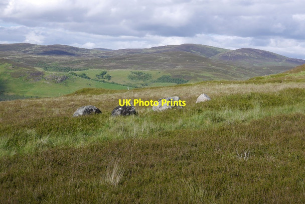 Photo 6"x4" Old boundaries, Achinael Little Torboll c2015