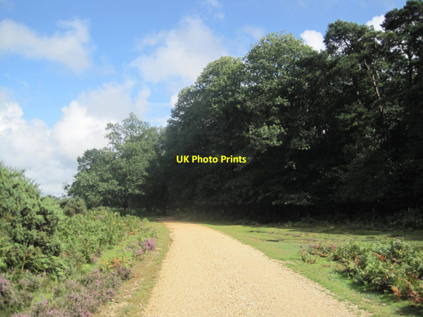 Photo 6"x4" Traffic Free Cycle Route into Amberwood Inclosure Ogdens c2015