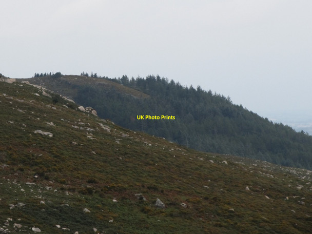 Photo 6"x4" The forested Drinneevar Ridge from the Crannoge Quarry track Newcastle\/J3732 c2015