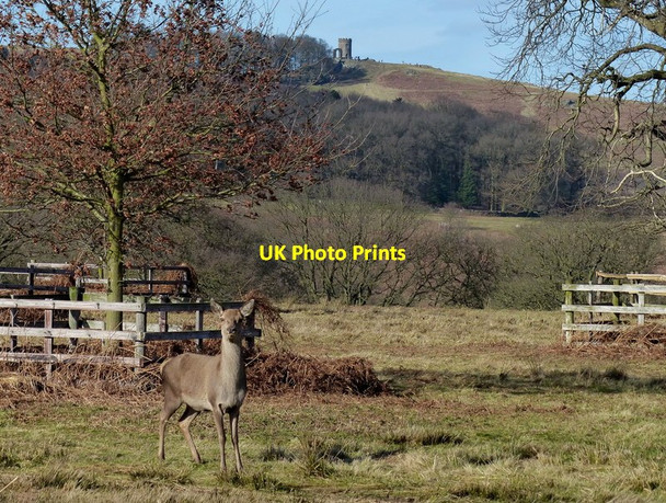 Photo 6"x4" View across the Bradgate Country Park Anstey\/SK5408 c2014