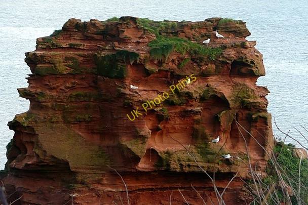 Photo 6"x4" Rock in Ladram Bay North Star c2009