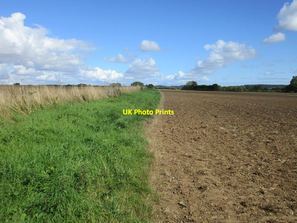 Photo 6"x4" Bridleway to Winterborne Zelston Winterborne Tomson c2015
