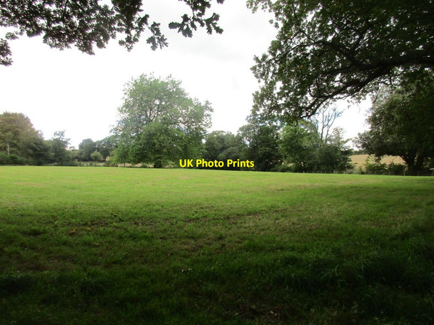 Photo 6"x4" Field near Chideock Manor Chideock c2015