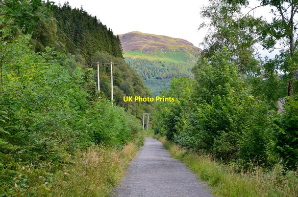 Photo 6"x4" Cyclepath to Strathyre Ardchullarie More c2015