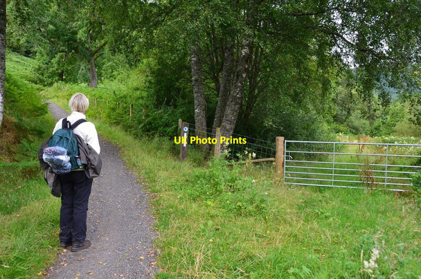 Photo 6"x4" Rob Roy Way leaves the railway route near Laggan Strathyre\/NN5617 c2015