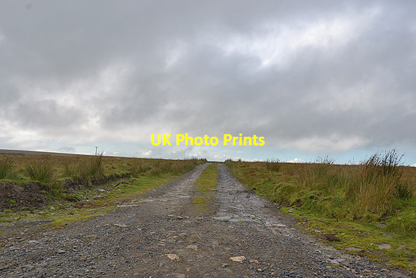 Photo 6"x4" Track to Pant-troed-\u00c3\u00aes farm Gwernogle c2015