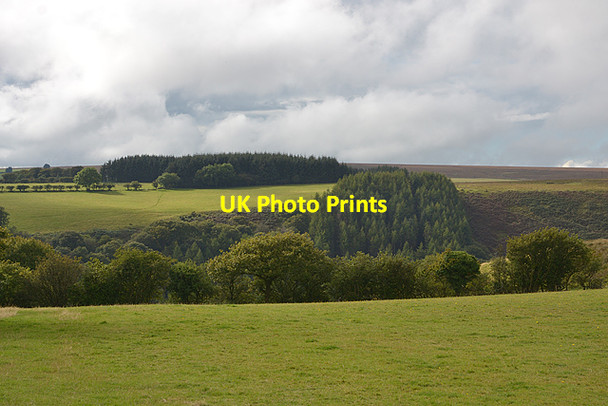Photo 6"x4" Fields and forestry above the Nenog valley Gwernogle c2015