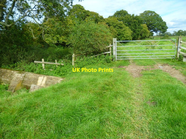 Photo 6"x4" Field boundary by west bank of the Adur Ashurst\/TQ1716 c2015