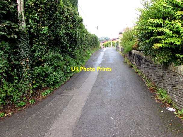 Photo 6"x4" West up Cwmtorlais Road, Newbridge Pontllanfraith c2015